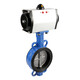 Cloud Cloud Pneumatique Valve de papillon D671X-16Q Vanne de serrage en acier inoxydable DN50 65 80 100 150 250 300 Plaque ductile DN125