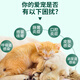 Kelu Oral Spray Cat Stomatitis Compound Lysostaphin Pet Bad Breath Oral Ulcer Spray Mouthwash 30ml Kelu Oral Cat + Amoxicillin 50mg