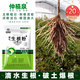 Zhongxiquan Breathable Rooting Powder Vegetables and Flowers Field Fruit Trees and Fruits Transplanting Seedlings Rapid Rooting Agent Powerful Rooting Liquid 500g*3 Bags