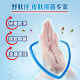 Safeguard Antibacterial Foam Hand Sanitizer Sakura 225g + Green Apple 225g Healthy Antibacterial 99.9% Fine Foam