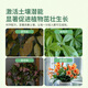 Shikefeng Flower Fertilizer Nitrogen, Phosphorus and Potassium Compound Fertilizer Universal Vegetable Flower Blooming Three-Year Agricultural Slow Release Organic Potted Household