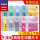 
Genuine Shanghai Education Edition Shanghai 2025 Oxford English New Word Picture Card First Grade English Word Card Grade 2345 Volume 2 Volume 2 12345 Second Semester Oxford Shanghai Edition Oxford Primary School English Word Card [Grade 2] English New Word Picture Card