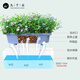 Neuf mille pots de légumes de grain de plant de plantant de forme longue légumes Artefact Potons de fleurs Boîte de plantation de légumes Pots de fleurs auto-absorbants 6218