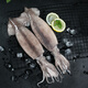 Fresh and frozen large squid 2-4 pieces net weight 1.2-1.3Jin Jin is equal to 0.5kg Teppanyaki squid hot pot barbecue ingredients seafood soft feet