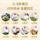 BAMA TEA -Industrie Anxi Tieguanyin Duft Oolong Tee Tee Tee von selbst Geschenkbox Geschenk Tee + Geschenktüte [Duft Tieguanyin] 252g