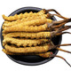 
Selected authentic snow mountain cordyceps sinensis genuine first-stage fresh cordyceps 50g gift box for 4 pieces/gram dry goods Tibet Nagqu Cordyceps 50 pieces gift box for 2 pieces/gram