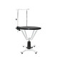Chunzhou N-204C Pet Hydraulic Lifting Beauty Table Rotating Beauty Table Pet Round Black