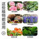 Yuntian Diammonium Phosphate Agricultural Fertilizer Phosphate Fertilizer Compound Fertilizer Vegetable Flowers and Fruit Trees General Dian Diammonium Phosphate (High Concentration 40Jin Jin is equal to 0.5kg