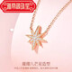 Yadige Eight-pointed Star 18 Gold K Necklace for Women 2024 Color Gold Star Pendant Valentine's Day Birthday Gift for Girlfriend and Wife 18 Gold K Star Necklace