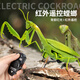 LNGA Landgre Control remoto Mantis Simulación eléctrica Juguetes Douyin Prank Artifact Cockroach Boys puede mover los animales de rastreo de araña [Versión clásica - Control remoto Ladybug] Modelo rojo 9922 Estándar oficial