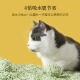 Made in Tokyo, green tea flavored tofu cat litter 2.6kg