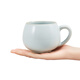Yaci Ru Kiln Tea Cup Ceramic Tea Cup Office Mug Souvenir Gift Box Erya Cup