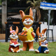 Yi Mingyuan Garden Cartoon Rabbit Fiberglass Sculpture Floor-standing Decoration Ornament Kindergarten Outdoor Garden Courtyard Landscaping Layout Western Style Reading Girl Rabbit