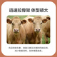 East China Zhengda 4% beef cattle and sheep premixed calf and lamb fattening cattle and sheep material to fatten and gain weight, pull the skeleton without loose stools, and get 1 free for 10 special materials for sheep (11 bags are issued)