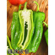 Wangyuanxing thin-skinned pepper seedlings, large-fruited tiger-skin green pepper seedlings, mildly spicy wrinkled-skinned pickled pepper seedlings, four-season vegetable garden potted southern species, 500 thin-skinned green pepper seedlings