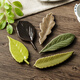 Chiyoyuan creative leaf chopstick holder 6-piece gift box set chopstick holder Japanese-style household chopstick holder ceramic chopstick holder 6-piece gift box set