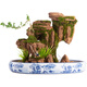 SMVP boutique indoor natural absorbent stone landscaping water stone ornaments landscape bonsai flowing water rockery micro landscape Danya Lingyun (complete set)