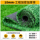 Qingya construction site fence simulated lawn carpet sunshade mesh green fake turf kindergarten floor mat outdoor plastic decoration 1cm engineering encrypted grass 50 square meters (2m wide * 25m long)