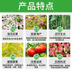 28 table high brassinolide Yuntai lactone leaf-protecting surface fertilizer antidote to flower and fruit plant growth regulator 1000ml (full box of 12 bottles)