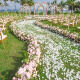 Pétalos simulados de abali Diseño de la sala de bodas de flores falsas Propuesta de interior Confesión Decoración de la boda Diseño Interior Milkia 1000 piezas
