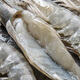 Jingxian Port Indonesian White Shrimp No Added Antioxidants Net Weight 1.65kg 40-50 pieces/kg