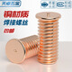Tianzhuo Hardware Copper-plated Welding Screws Spot Welding Screws Plant Welding Nails Welding Studs Spot Welding Posts M3M4M5M6M8M10mm M3*35-50 pcs