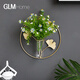 Wall decoration pendant wall hydroponic vase wall hanging creative restaurant wall wall decoration pendant home living room back 15-piece luxury set worry-free matching