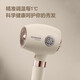FLYCO hair dryer foldable negative ion hair care student dormitory high-power home barber shop hotel hair dryer FH6369 1600W lotus root pink temperature adjustable display
