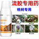 Gengfengwang peach tree gum disease special medicine peach tree gum disease one spray to clean peach tree scab disease perforation canker peach tree gum disease medicine 500ml (can be mixed with 1000Jin Jin equal to 0.5 kg of water)