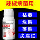 Gengfengwang pepper special agent, pepper disease medicine, gray mold early and late blight, wilt, downy mildew virus disease, pepper medicine 500ml (30 acres)