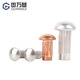 Guwanji aluminum sign rivets GB827 stainless steel knurled aluminum rivets copper nameplate trademark solid rivets fastener collection red copper M2.5x4 200 pieces