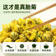 In the inner court, use Beijing Tongrentang chrysanthemum 50g/can of chrysanthemum tea herbal tea soaked in water and drink clear and healthy flower tea with honeysuckle wolfberry