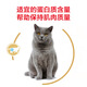 Royal Dad Royal Adult Cat Food BS34 British Shorthair Cat Special Blue Cat Beauty Short Food Fattening Hair and Cheeks Full Price 2k 342kg bs