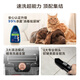 BISSELL Small Steamer Upgraded Version High Temperature Steam Cleaning Machine Fabric Sofa Multifunctional Cleaning Machine Washing Curtains Mattress Carpet Cleaning Machine Vacuum Cleaner Steam Washing and Suction All-in-One Machine Upgraded Version Multifunctional Cleaning Small Steamer-3700Z