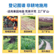 Precise glufosinate ammonium salt high concentration orchard wasteland root rot herbicide cowgrass small flypong garden pesticide 5kg (1 barrel)