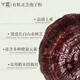 Ludian Organic Ganoderma lucidum spore powder 10 bags/box High-quality organic physical wall breaking and easy to absorb the nutrition at home ten boxes [100 grams]