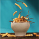 Cordyceps sinensis Áreas tibetanas Cordyceps sinensis La hierba rota es más asequible para comer a los corredes secos nutritivos nutridos de masa seca en vino y hacer polvo para hacer sopa. 5 gramos de Big Cordyceps sinensis dan crisantemos