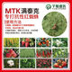 Zhenpin Miteke specializes in killing resistant red spider eggs and has the characteristics of killing red spider mites. Agricultural barreled fertilizer Mantike 500mLx1