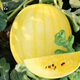 Dayu Yellow Heart Watermelon Seeds, Early Maturity, Yellow Skin, Red Flesh, Yellow Flesh, Special Xiaofeng Watermelon Seeds, Southern Fruit, Golden Beauty Watermelon Seeds, 100 Yellow Skin, Yellow Flesh