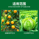 Thompson Julijian 10% gibberellic acid ester, cabbage fruit and vegetable production increase, drought resistance and disease resistance regulating growth agent Julijian 40g*1 bottle