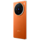 Vivo X100 blue crystal Dimensity 9300 5000mAh battery Zeiss telephoto 120W dual-core flash charge sunset orange 16GB+1TB