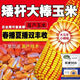 Neue originale Zhengdan 958 Zwergmaissamen, Feldhybrid-Maissamen, dürreresistente Frühlings- und Sommerpflanzung Zhengdan 958 (ein Beutel mit 4 Jin Jin entspricht 0,5 kg im roten Beutel)