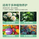 Shikefeng Flower Fertilizer Nitrogen, Phosphorus and Potassium Compound Fertilizer Universal Vegetable Flower Blooming Three-Year Agricultural Slow Release Organic Potted Household