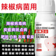 Gengfengwang pepper special agent, pepper disease medicine, gray mold early and late blight, wilt, downy mildew virus disease, pepper medicine 500ml (30 acres)