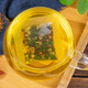 Beijing Tongrentang Sichuan Chrysanthemum Cassia Cassia Calcilla Jujube Núrdica Luohan Fruit Five Teling Hair Tea Health Health Té emparejado con hígado graso Esténgate en el tardío Qingqianliu Té de calamar de maíz 160g (se incluye un embalaje nuevo y viejo que se incluye el embalaje viejo y el envasado