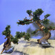 Finished fish tank landscaping Moss tree to welcome guests, pine tree-shaped Brazilian tree, deadwood, negative aquatic plants, novice package, must read before purchasing