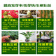 Yifuyuan germination rooting agent powder Chonglou seed germination agent Bletilla striata and Huangjing seedling nutrient liquid medicine rapid teething germination and rooting liquid (1 bottle 1000ml)