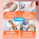 Black Bird pet handle comb cat and dog grooming brush special comb hair protection artifact massage air cushion needle comb cat comb small small/puppy dog