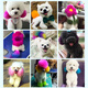 Juchuangqi dog grooming special hair dye pet hair dye cream white Bichon Pomeranian Teddy cat dyeing light green 60g