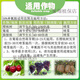 Cuiya 50% monocyanamide sleep-breaking agent grape cherry kiwi fruit tree germination accelerating pesticide plant growth regulator 1000ml